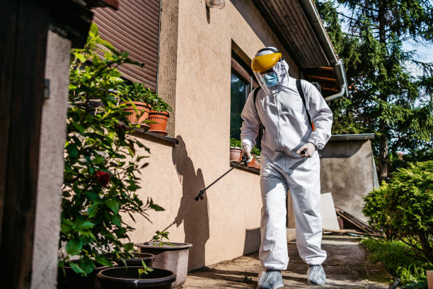 Best Residential Pest Control  in Pu, HI