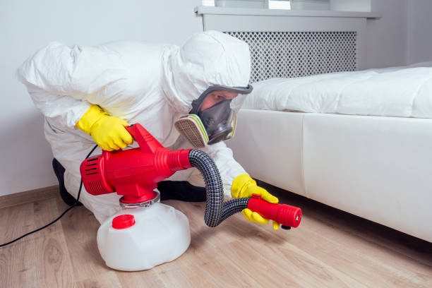 Best Mosquito Control Services  in Pu, HI