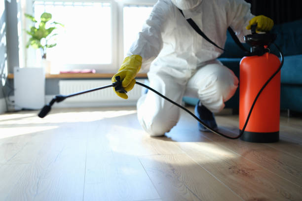 Flea Control Services in Puhi, HI