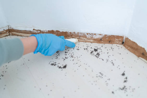 Pest Control Cost in Puhi, HI