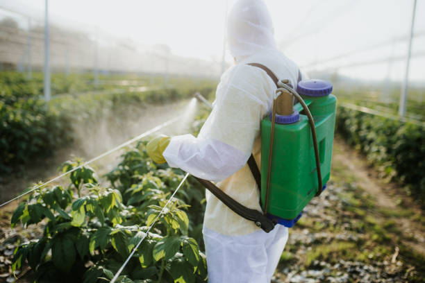 Best Best Pest Control Companies  in Pu, HI